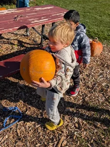 Little Blessings Fun pumpkin
